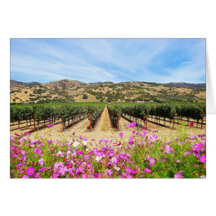 Napa Valley California Vineyard