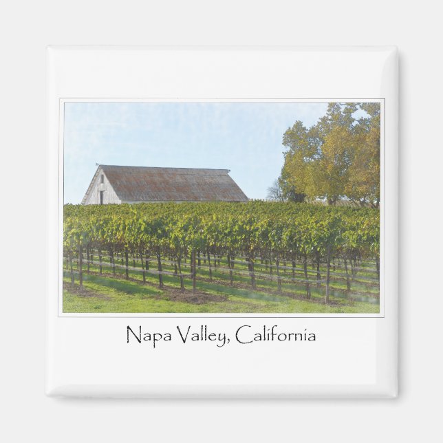 Napa Valley California Vineyard and Barn Magnet (Front)