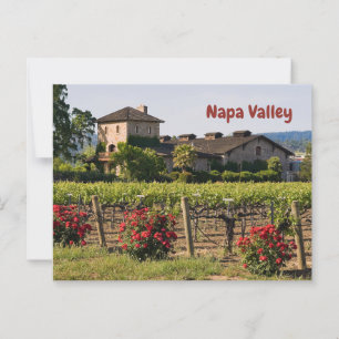 Napa Valley, California Vineyard in Summer  Postcard