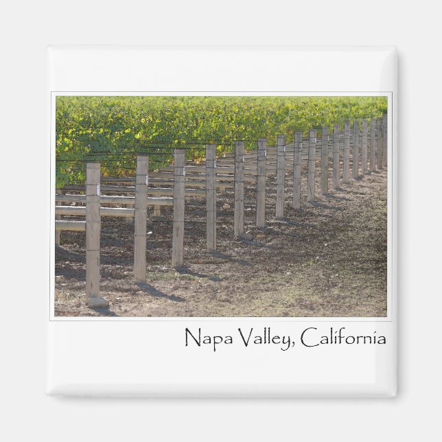 Napa Valley California Vineyard Magnet (Front)