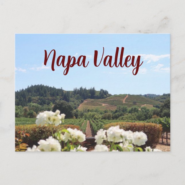 Napa Valley, California vineyards and flowers Postcard (Front)