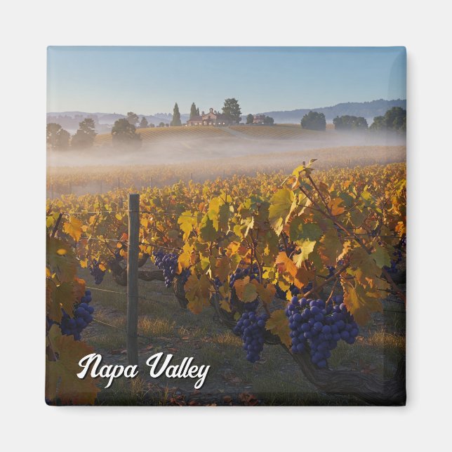 Napa Valley California Vinyard Winery Magnet (Front)