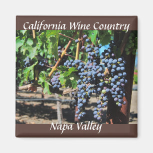 Napa Valley  California Wine Country Magnet