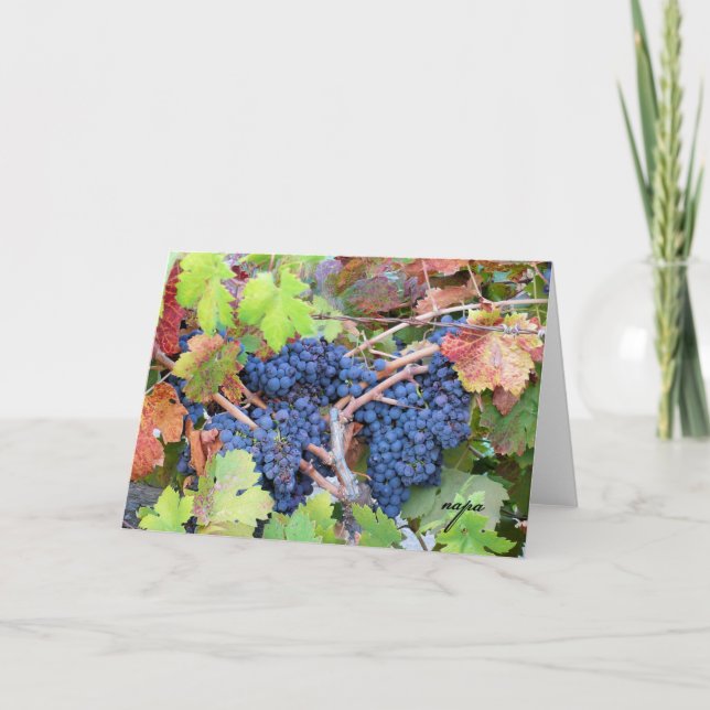 Napa Valley Harvest Greeting Card (Front)