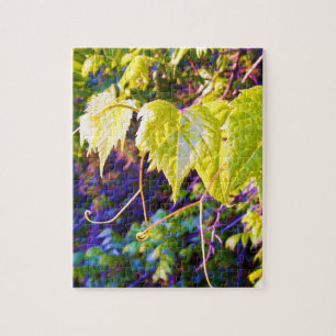 Napa Valley Jigsaw Puzzle