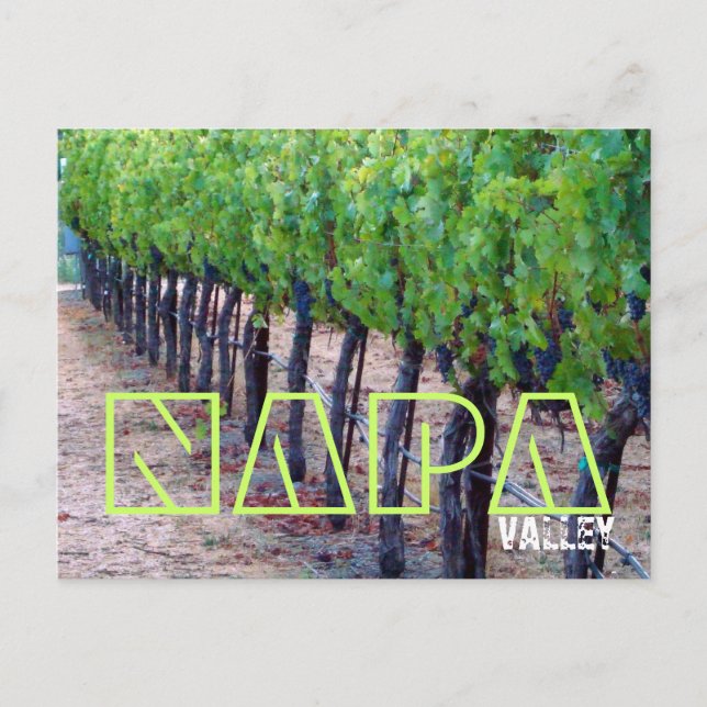 Napa Valley Postcard (wine) (Front)