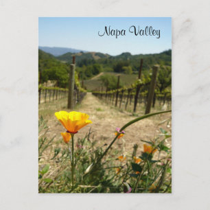 Napa Valley Spring Postcard