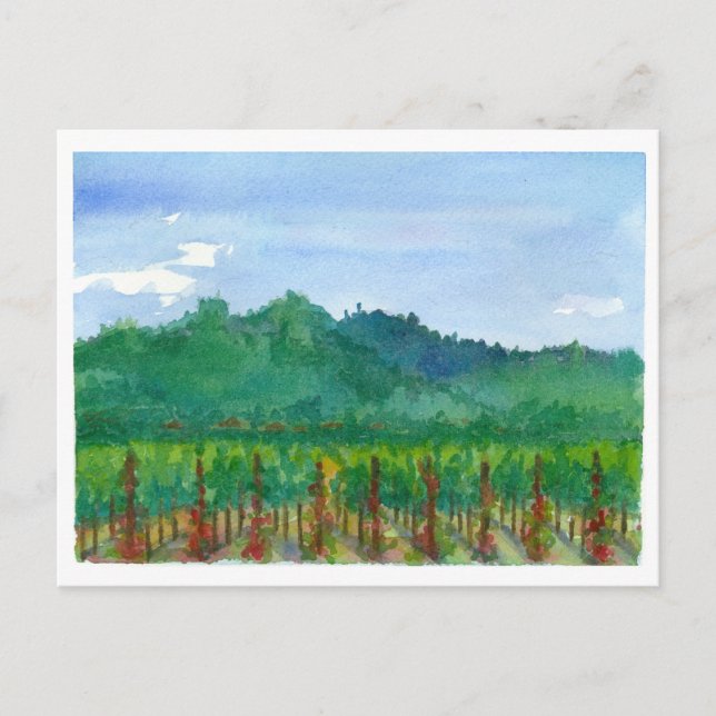 Napa Valley Vineyard Red Roses Watercolor Painting Postcard (Front)