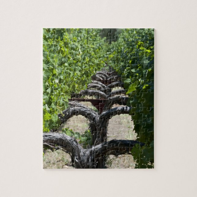 Napa Valley Vineyard Row Jigsaw Puzzle (Vertical)