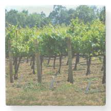 Napa Vines Marble Coaster