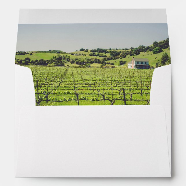 Napa Vineyard Photo Envelope Liner Return Address (Back (Bottom))