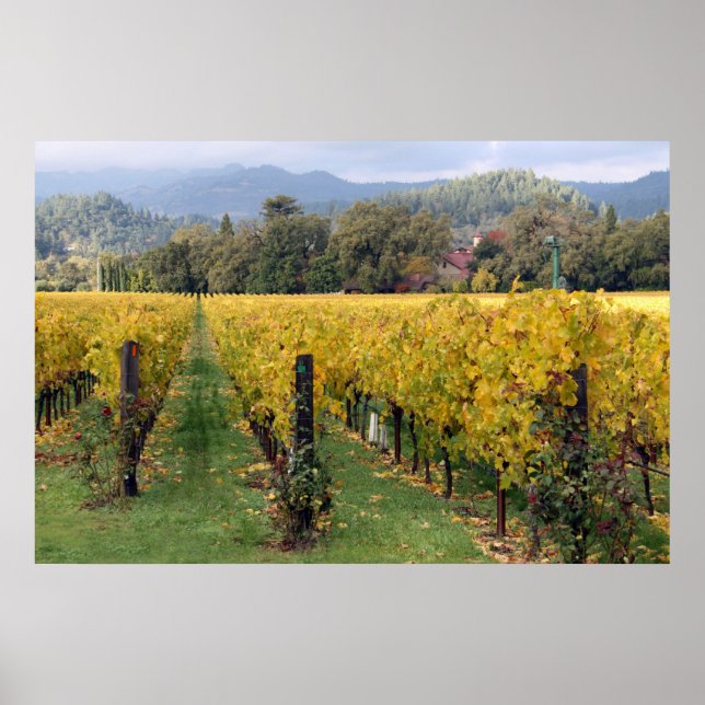 Napa vineyards poster (Front)