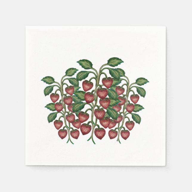 Napkin chips (Front)