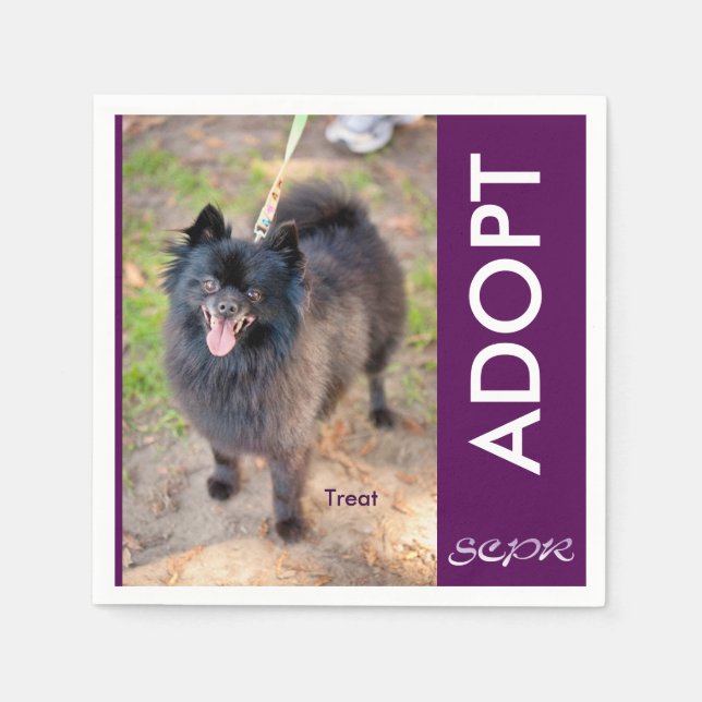 Napkin - Treat (Front)