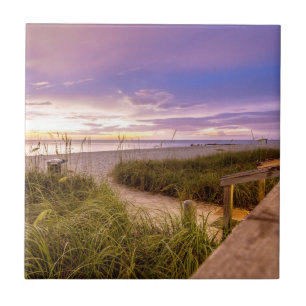 Naples Beach Florida Tile
