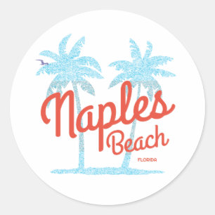 Naples Beach Florida USA Vintage Coral Type Palms Classic Round Sticker