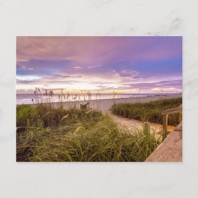 Naples Beach Shore and Calm Ocean | Florida Postcard (Front)