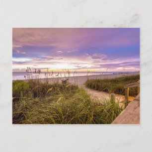 Naples Beach Shore and Calm Ocean   Florida Postcard