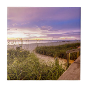 Naples Beach Shore and Calm Ocean   Florida Tile