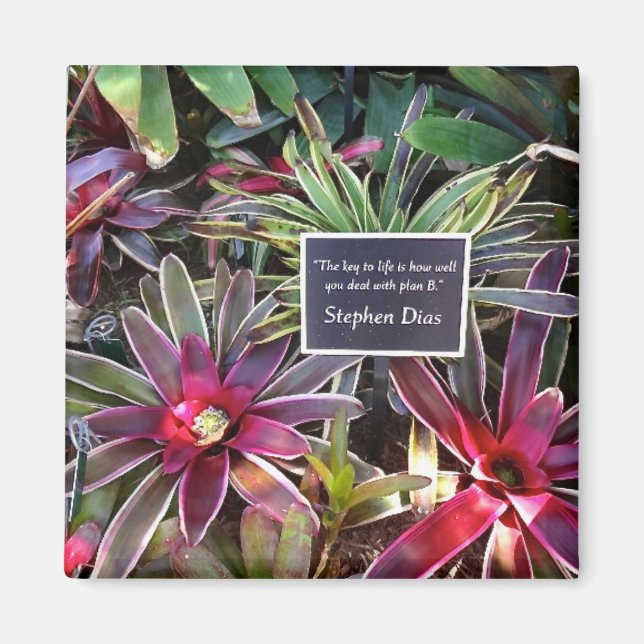 Naples Florida Botanical Garden Stephen Dias Quote Magnet (Front)