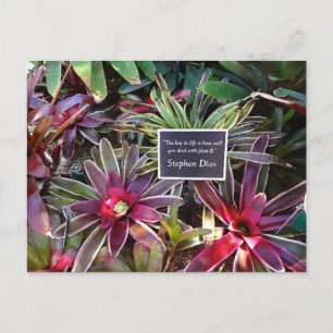 Naples Florida Botanical Garden Stephen Dias Quote Postcard