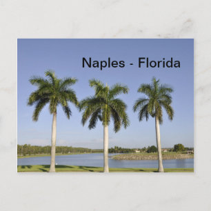 Naples Florida Postcard