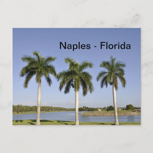 Naples Florida Postcard (Front)
