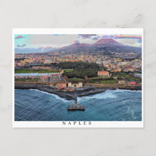 Naples Skyline Holiday Postcard