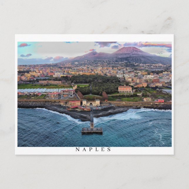 Naples Skyline Holiday Postcard (Front)