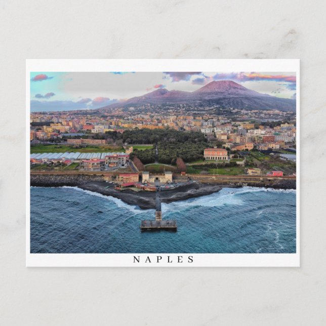 Naples Skyline Postcard (Front)