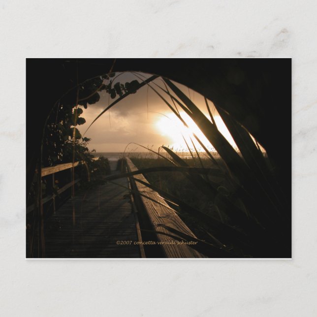 Naples Sunset Postcard (Front)