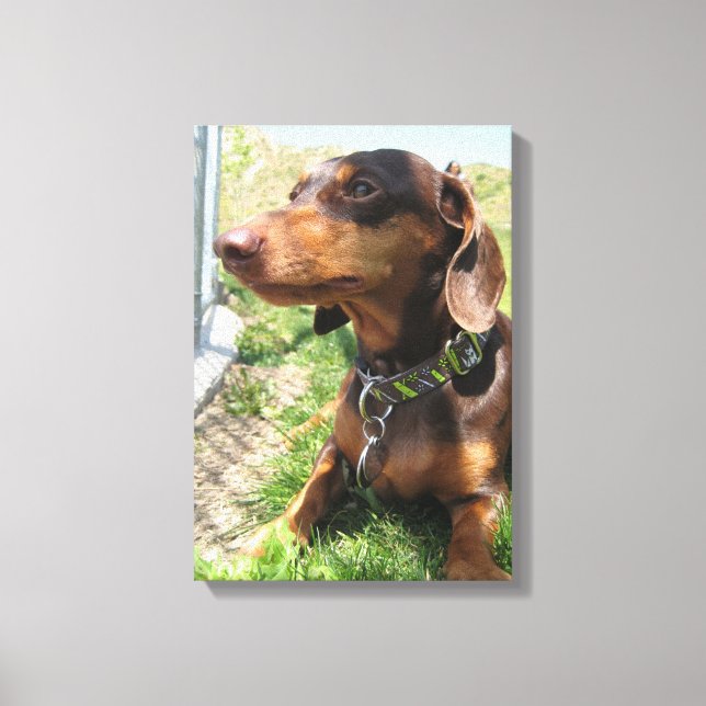 napoleon canvas print (Front)