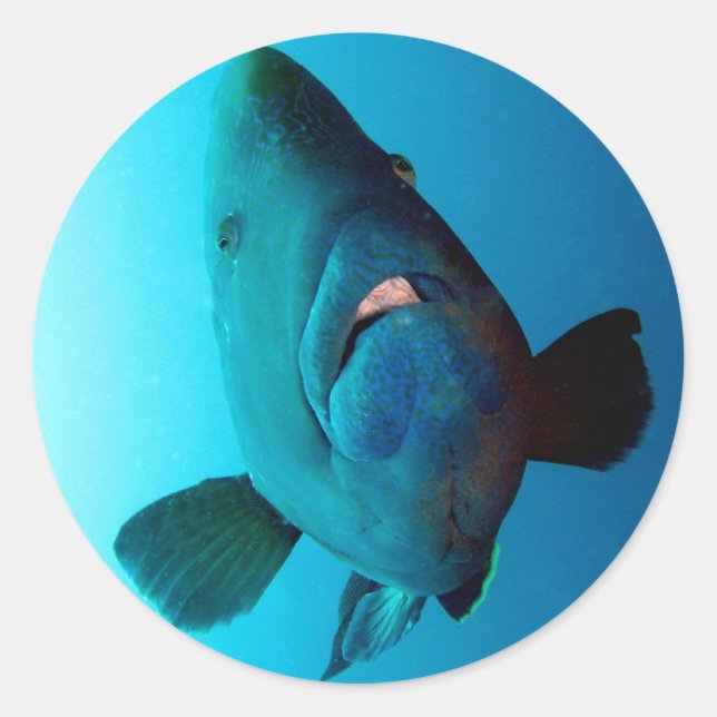 Napoleon Classic Round Sticker (Front)