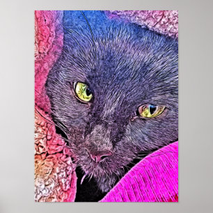 Napoleon in a blanket poster