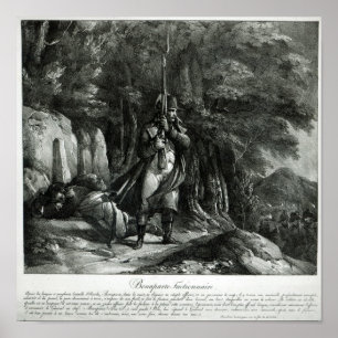 Napoleon on sentry duty poster