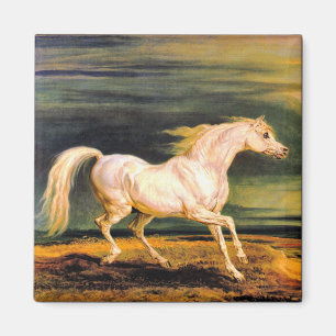 Napoleon's Marengo Magnet