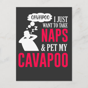 Napping and pet my Cavapoo Dog Nap Humour Postcard