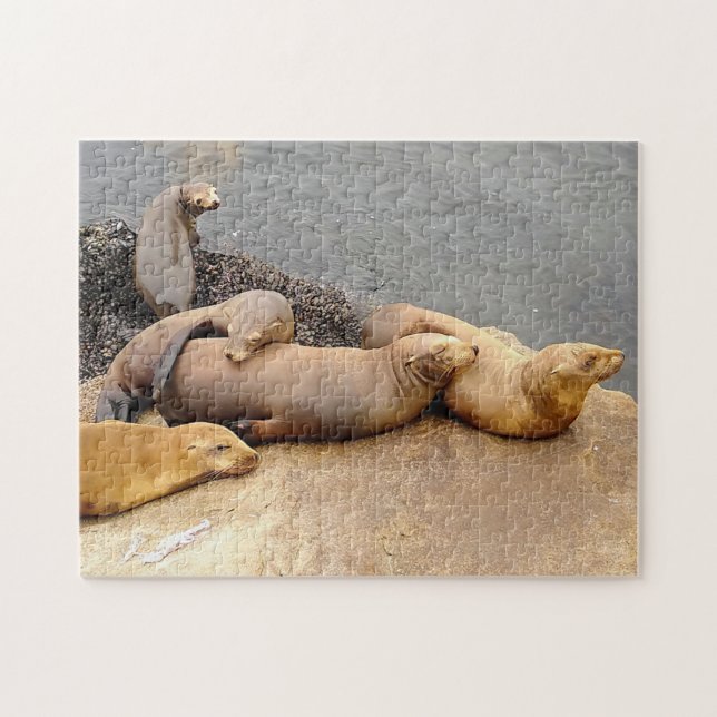 Napping Baby Sea Lions Jigsaw Puzzle (Horizontal)