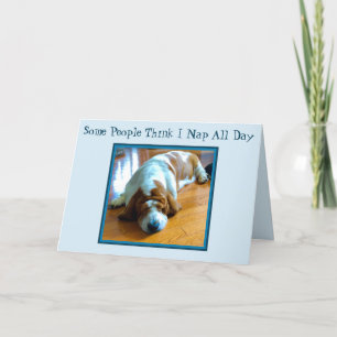 Napping Basset On Funny Birthday Card
