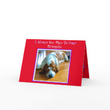 Napping Basset On Funny Valentine's Day Card