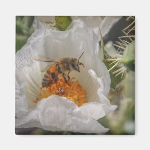 napping bee magnet