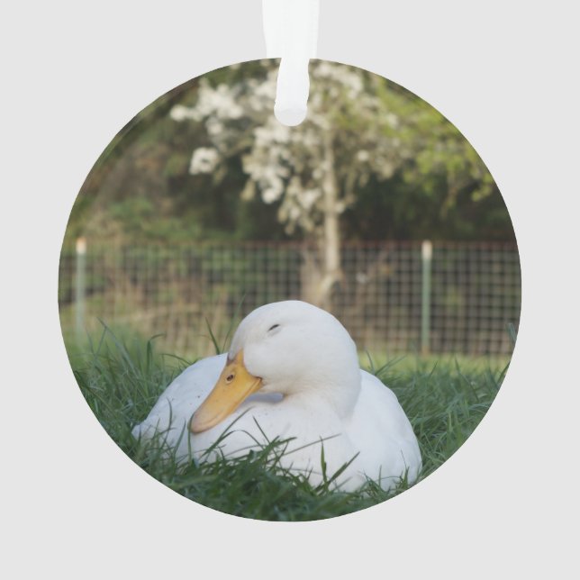 Napping Duck Ornament (Back)