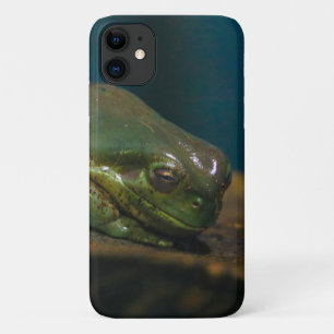 napping frog iPhone 11 case
