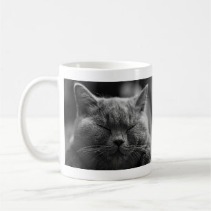 Napping Grey Cat Coffee Mug