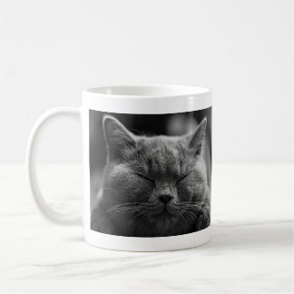 Napping Grey Cat Coffee Mug