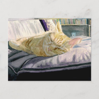 Napping in the Sunshine Postcard