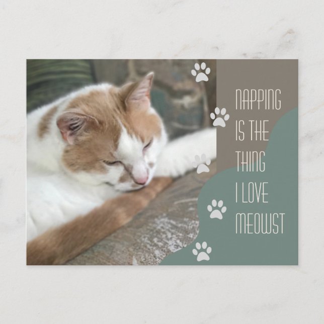 Napping is the thing I love meowst Cat Postcard (Front)