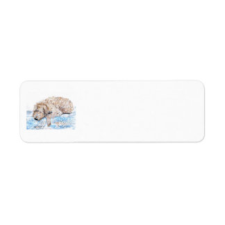 Napping Labradoodle