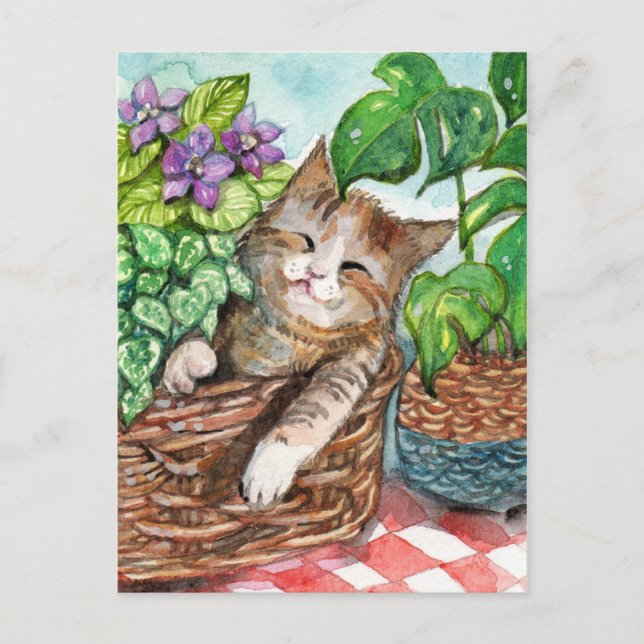 Napping Therapy Postcard (Front)