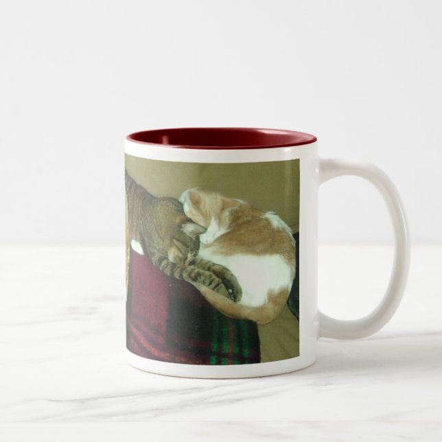 napping trio Two-Tone coffee mug (Right)